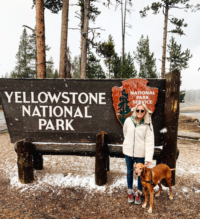 Yellowstone Road Trip Part 1