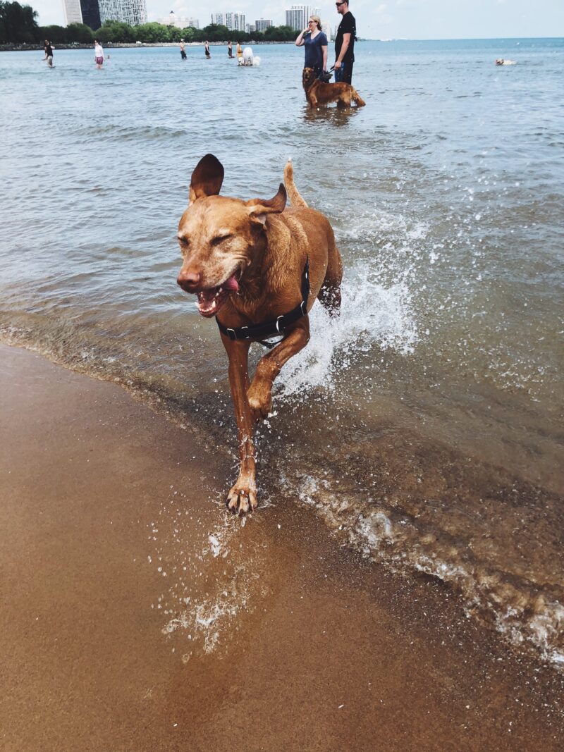 The N Sale! And Naps! And okay it's really just another post about Harlow.