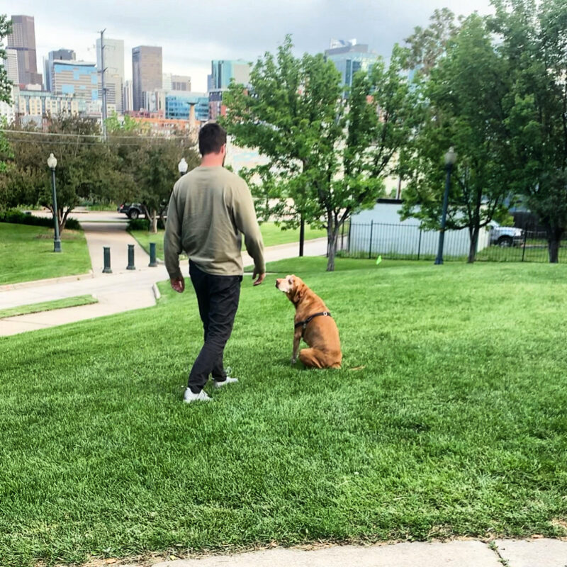 On Grieving The Loss of a Dog