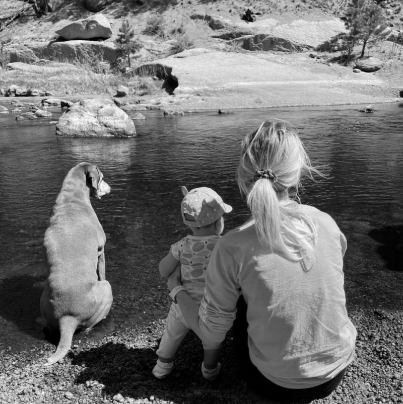 When The Dust Settles